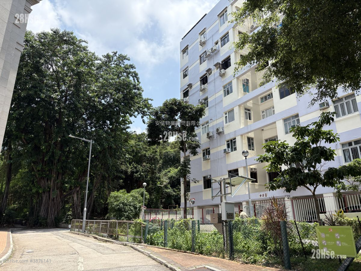 Violet Court Rental 4 Bedrooms , 2 Bathrooms 992 ft² ( 92.2 m² )