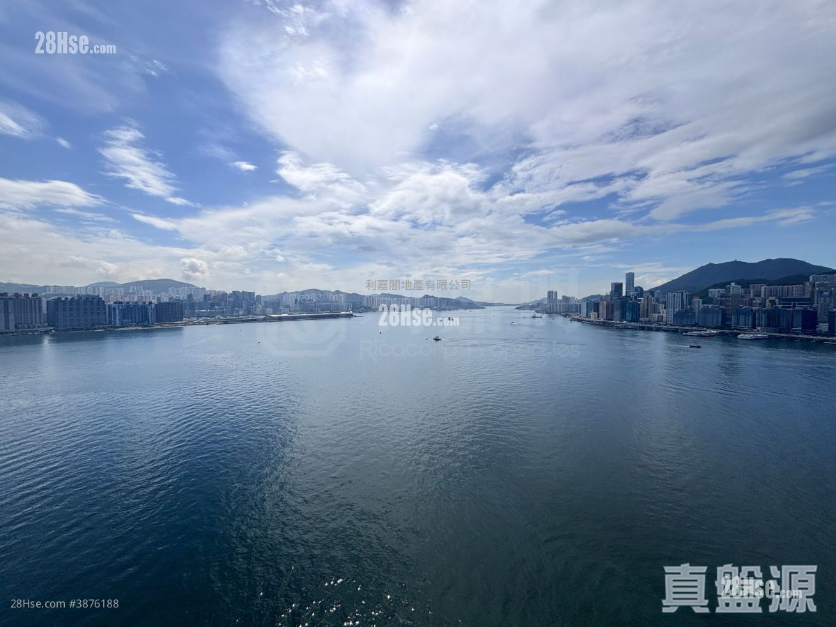 歡迎參觀找我，61618223，Ivan