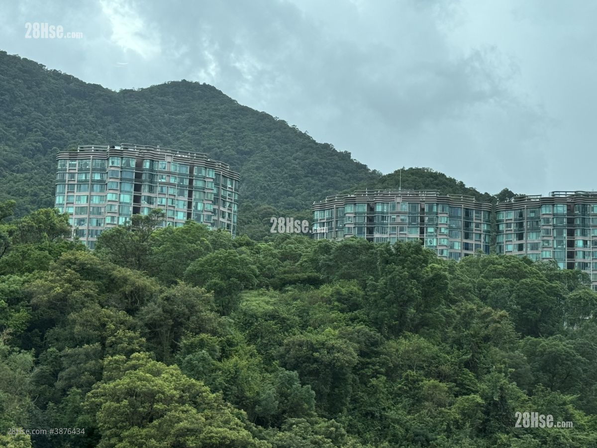 Silicon Hill Rental 2 Bedrooms , 1 Bathroom 420 ft² ( 39.0 m² )