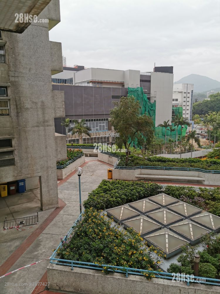客厅景观
