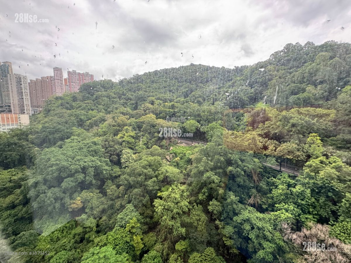 The Pavilia Hill Rental 2 Bedrooms , 1 Bathroom 597 ft² ( 55.5 m² )