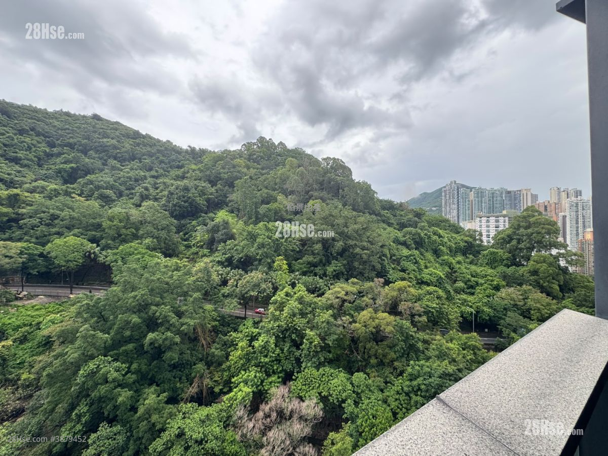 The Pavilia Hill Rental 2 Bedrooms , 1 Bathroom 597 ft² ( 55.5 m² )