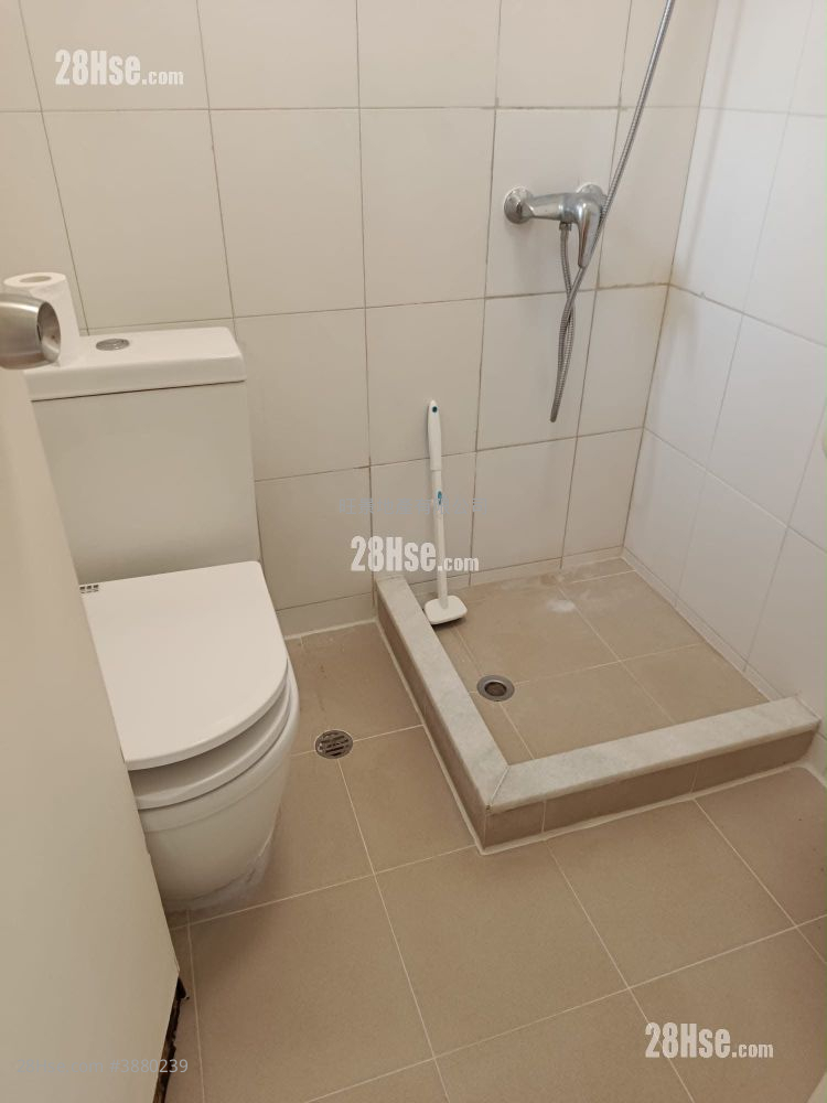 True Corse Tower Rental Studio 197 ft² ( 18.3 m² )