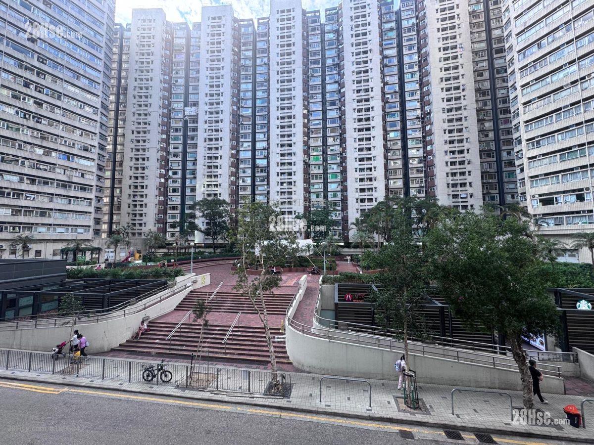 New Wealth Mansion Sell 2 Bedrooms , 1 Bathroom 336 ft² ( 31.2 m² )