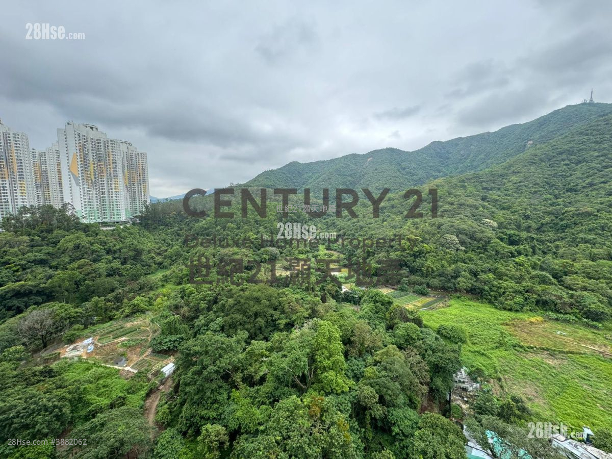 岚山 租盘 3 房 , 2 浴室 750 平方尺 ( 69.7 平方米 )