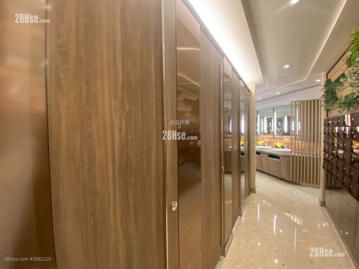 Millennium City Rental