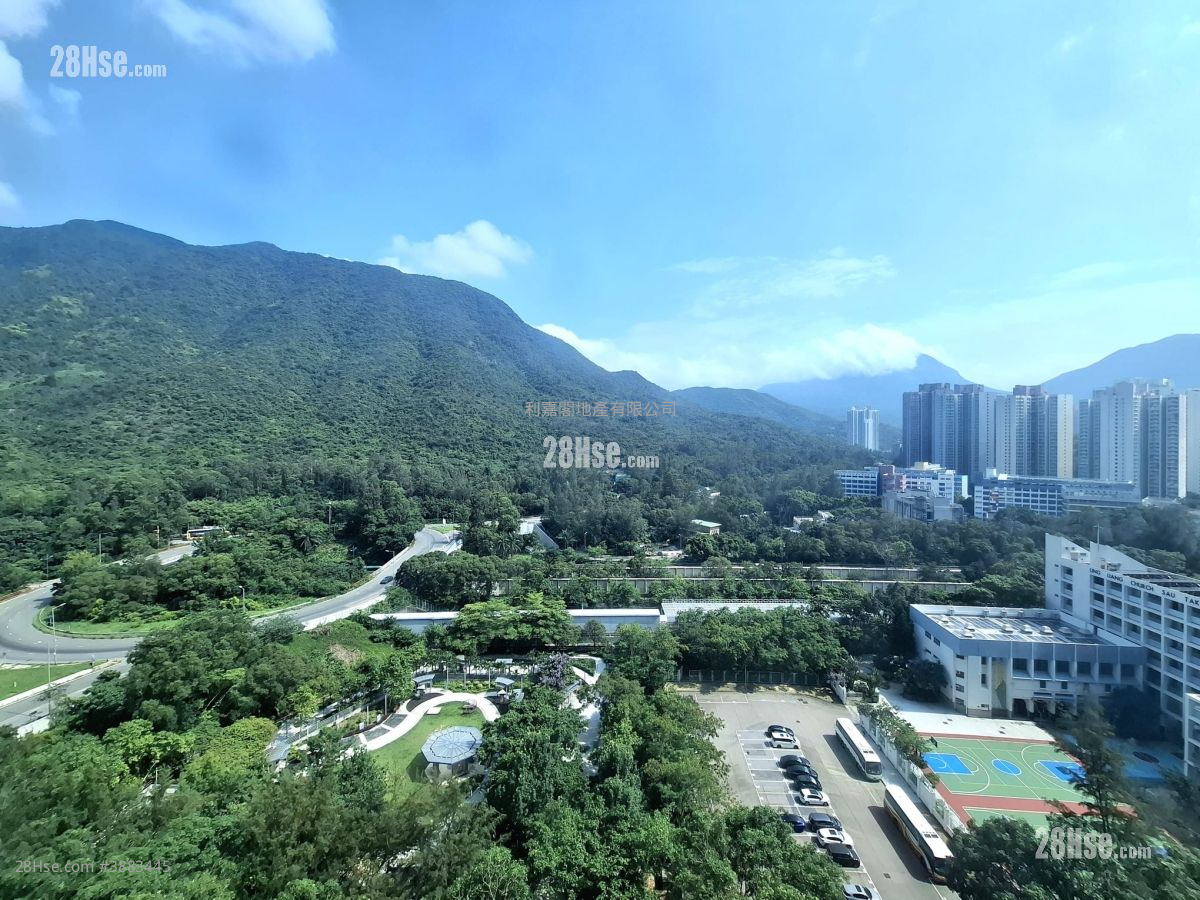 蓝天海岸 售盘 2 房 485 平方尺 ( 45.1 平方米 )