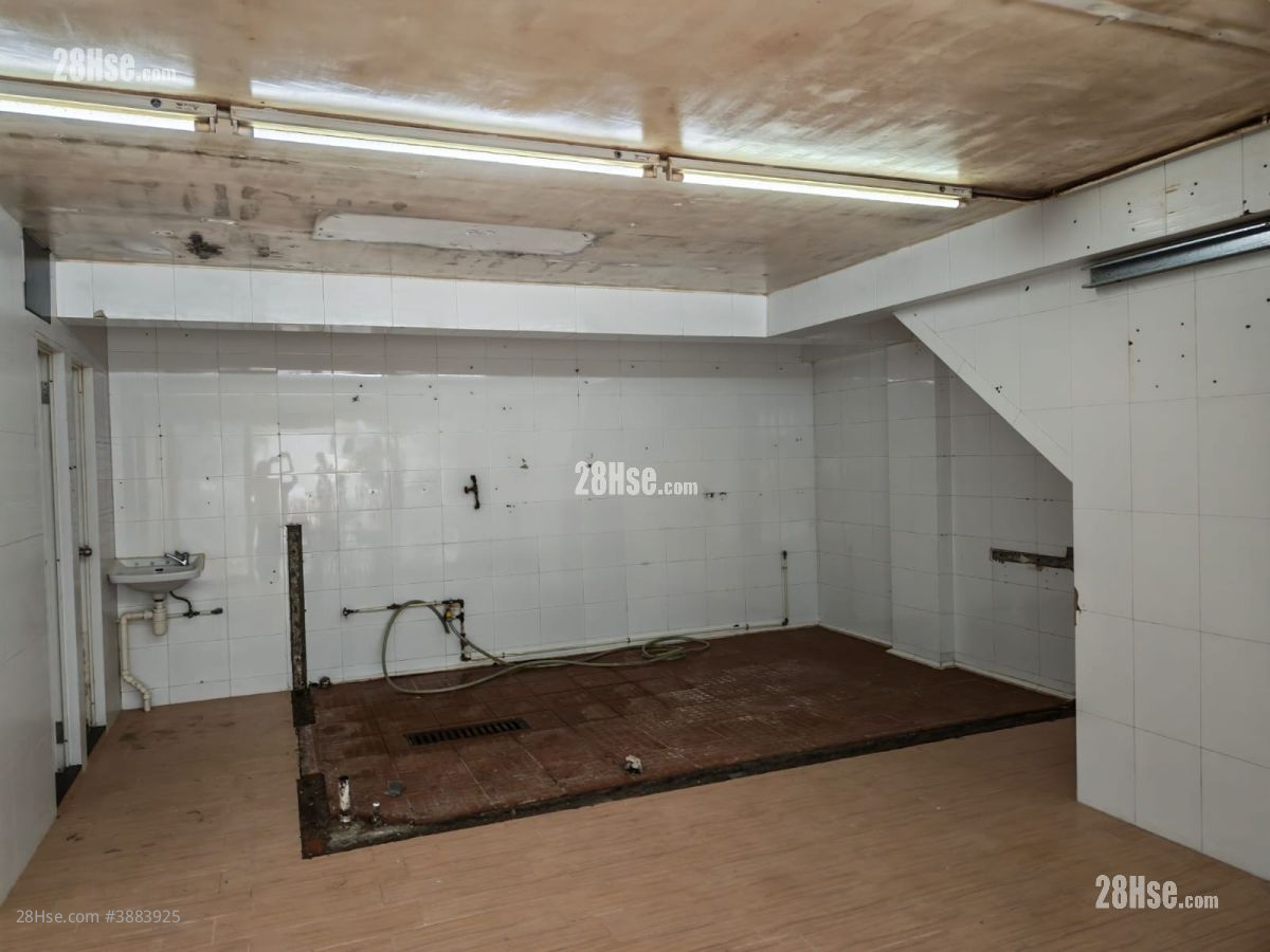 2B Pak She Street Rental