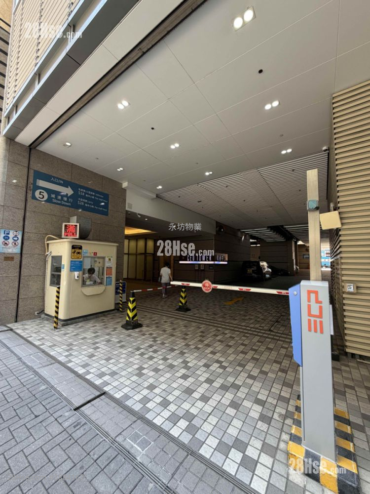 Ceo Tower Rental