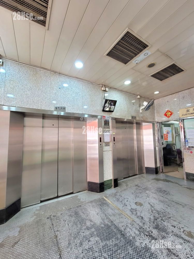 Lai Cheong Factory Building Rental Studio , 1 Toilet 1,180 ft² ( 109.6 m² )