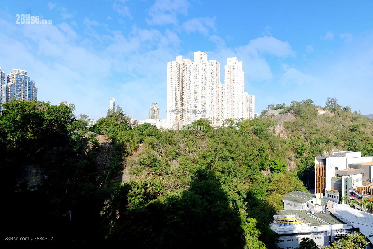 景观: 高山18 租盘 1 房 , 1 浴室 319 平方尺 ( 29.6 平方米 )
