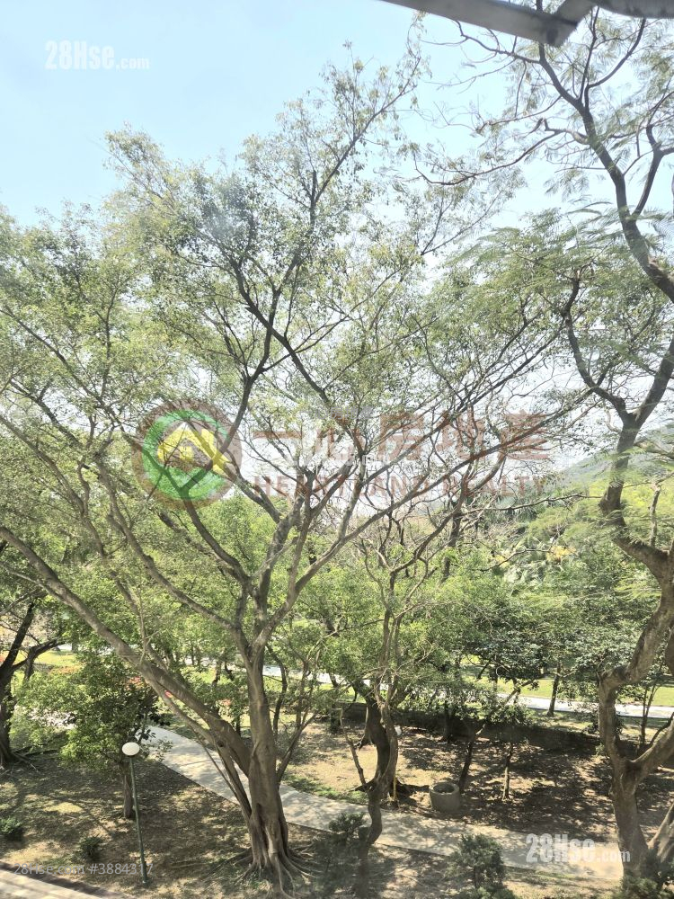 美乐花园 售盘 2 房 , 1 浴室 589 平方尺 ( 54.7 平方米 )