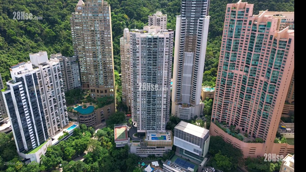 中半山位于香港公园及香港动植物公园的上方，大部分居苑依山而建，居住环境清幽。虽然居高临下，但这带同时处于雾线之下。