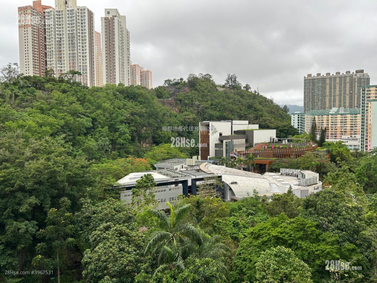 26 Ko Shan Rental 1 Bedroom , 1 Bathroom 267 ft² ( 24.8 m² )