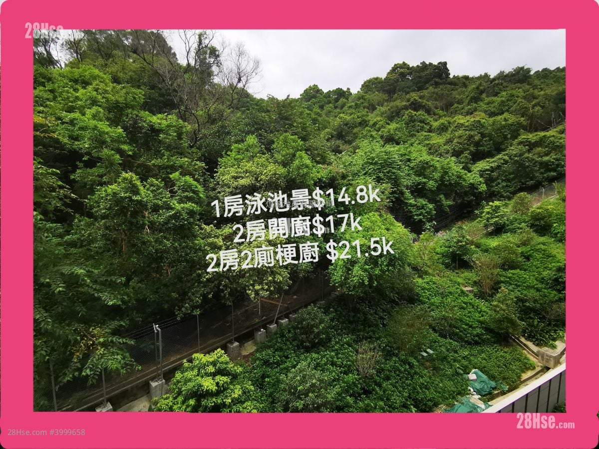 上然 租盘 1 房 , 1 浴室 306 平方尺 ( 28.4 平方米 )
