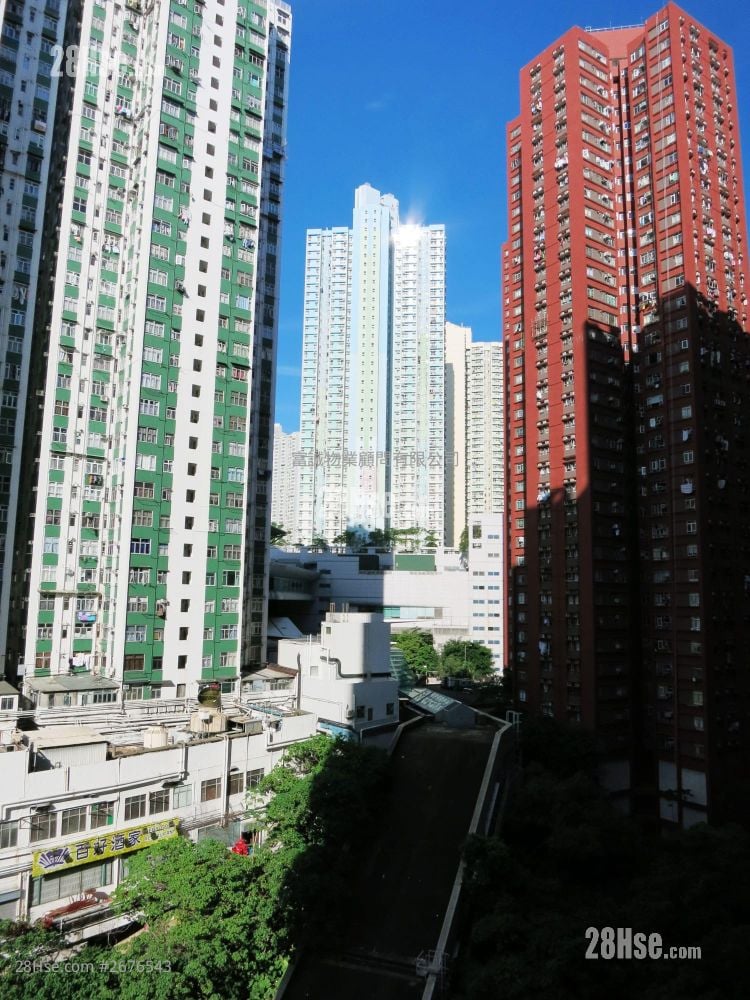 Sceneway Garden Sell 537 ft² ( 49.9 m² )