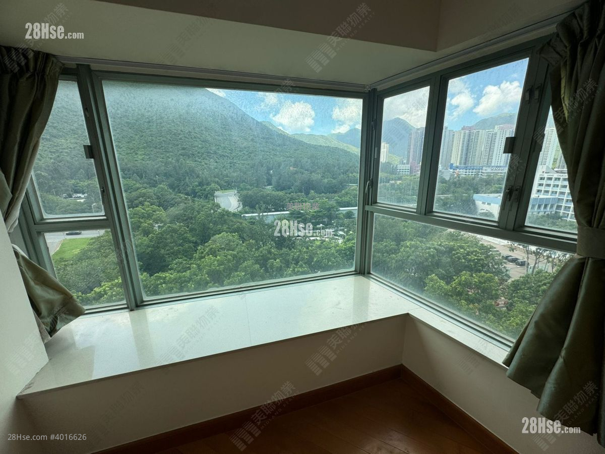 Coastal Skyline Rental 1 Bedroom , 1 Bathroom 381 ft² ( 35.4 m² )